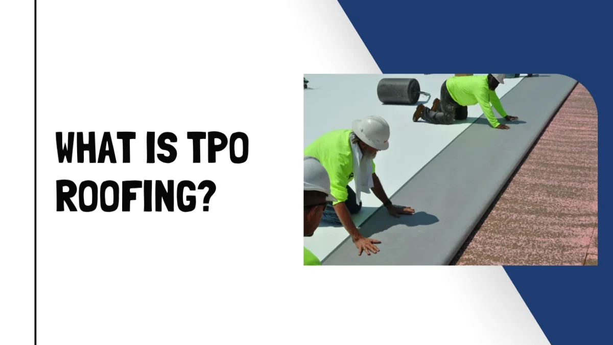 What Is TPO Roofing